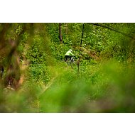 Galerie obr.č.: 47