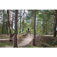 Galerie obr.č.: 43