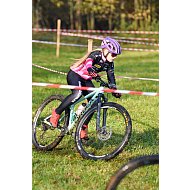 TBC série - Voračice 11/24